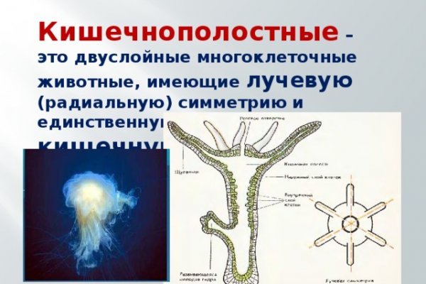 Браузер для кракен