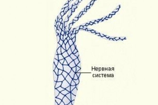 Kraken зарегистрироваться